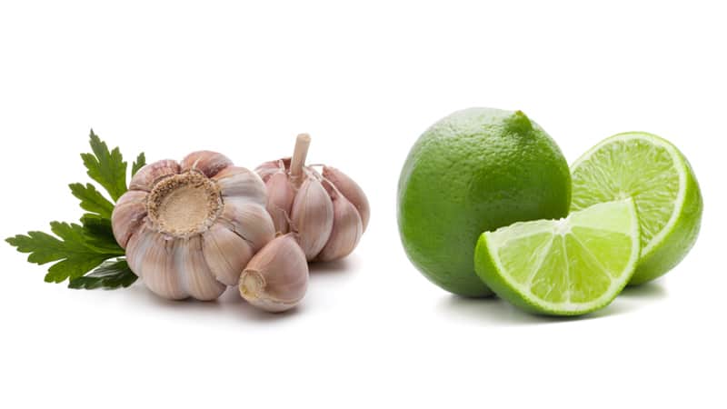 Tỏi và Chanh Tươi - Trị mụn